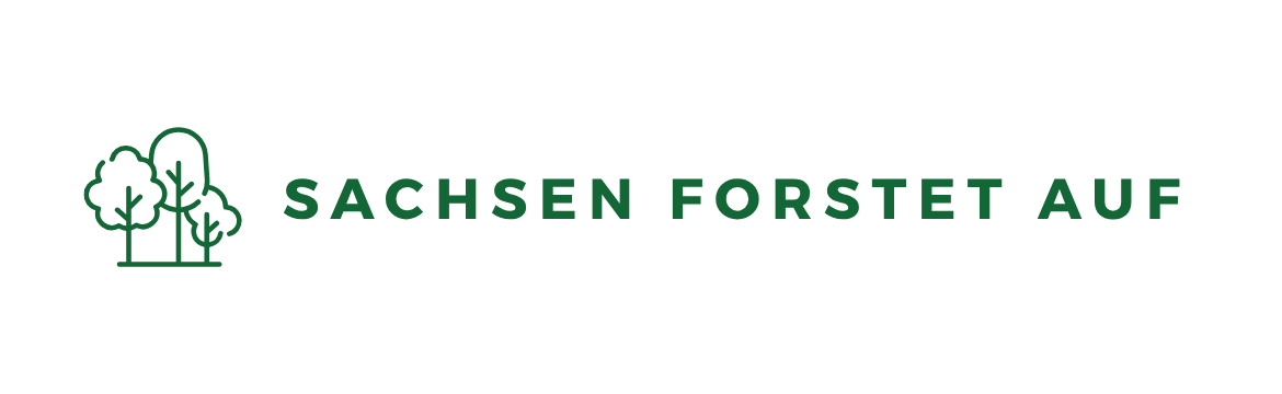 Sachsen forstet auf